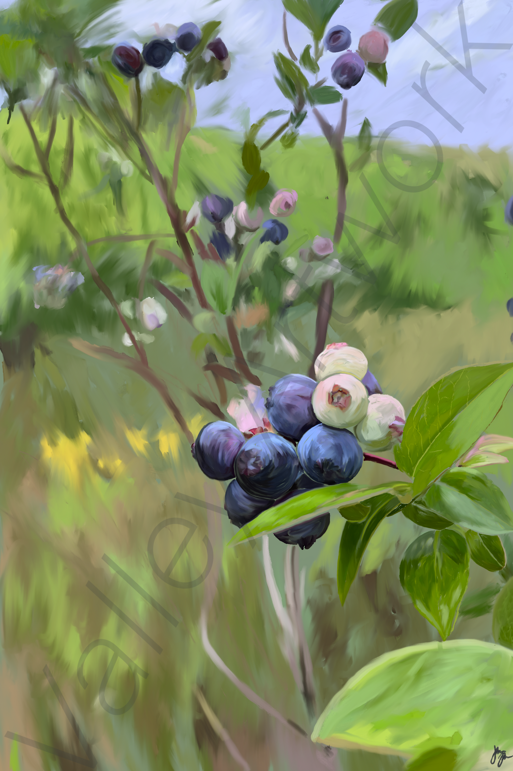 “Blueberry” Art Print